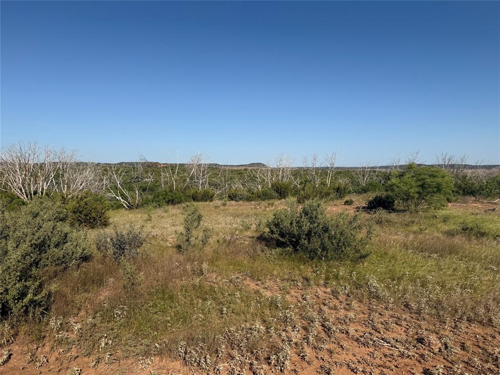 343 Merkel Tx 79536 Merkel, TX 79536 - Photo 11 of 12 a view of a field of grass and trees