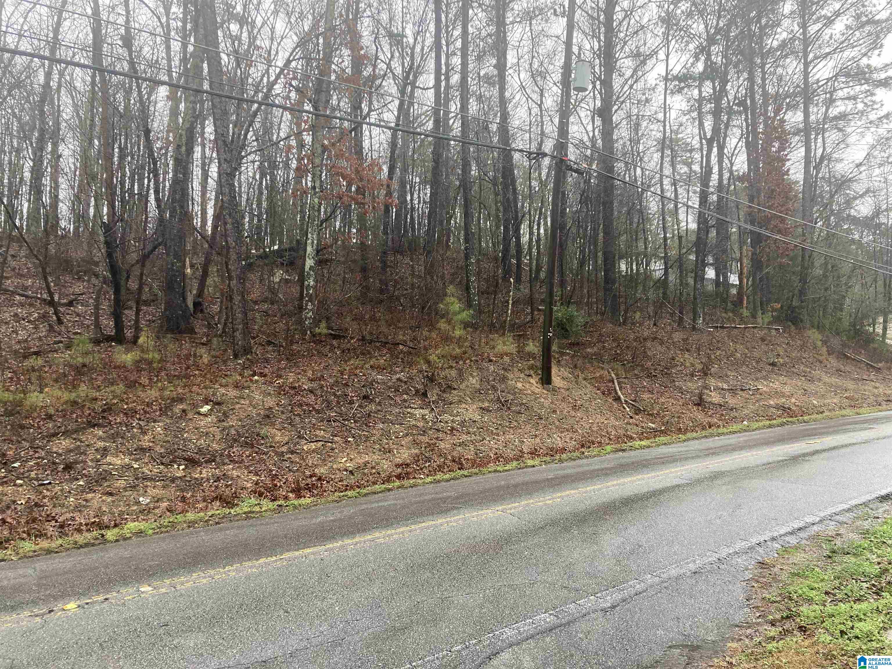 6270 Tyler Loop Road, Unit 11 THRU 13 Pinson, AL 35126 - Photo 2 of 3 Gallery Image 2