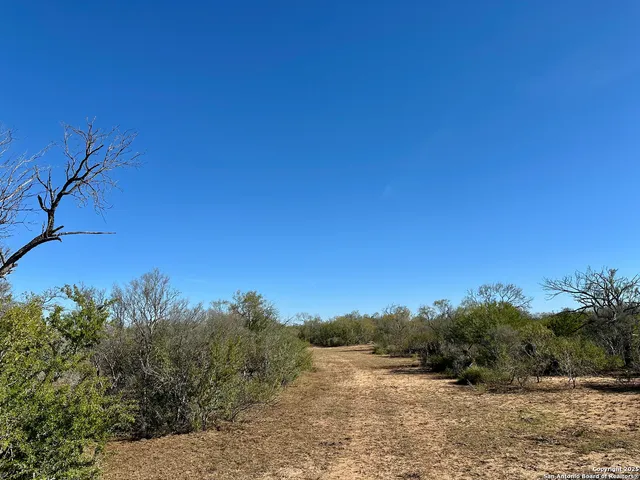 a view of a field with an ocean