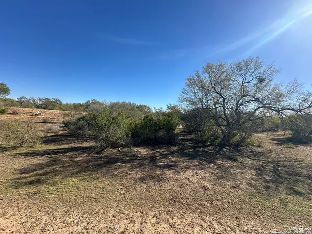 a view of dirt field and trees