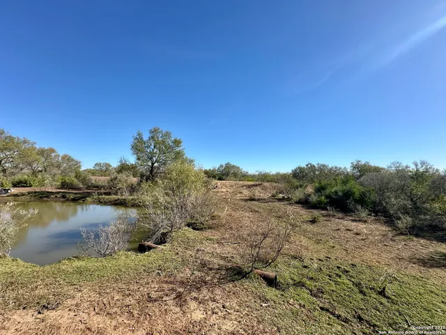 a view of outdoor space with garden and trees