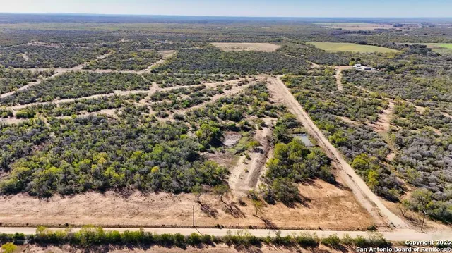 a view of a yard with plants and a bench