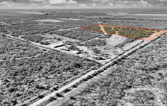 a view of a yard with an trees