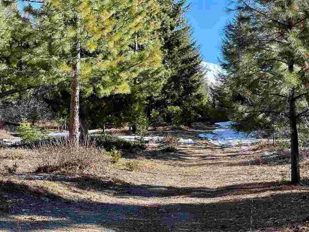 3 Deetz Road Rd Mount Mount Shasta, CA 96067 - Photo 1 of 37 Gallery Image 1
