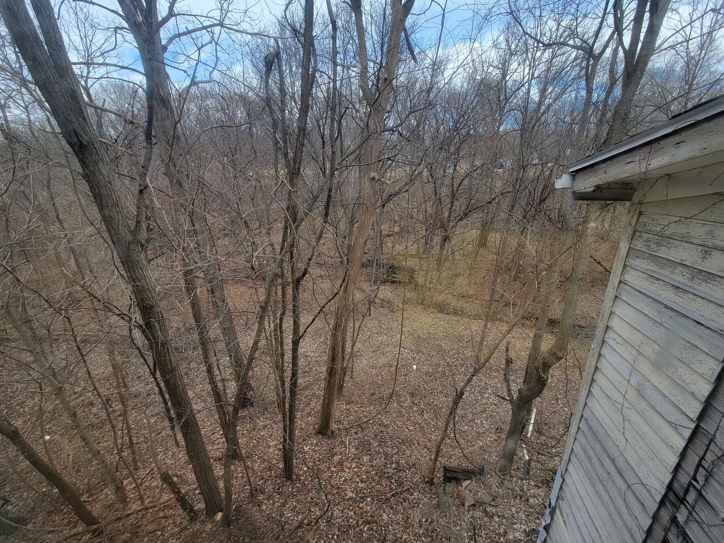 408 East 4th Street Spring Valley, IL 61362 - Photo 24 of 31