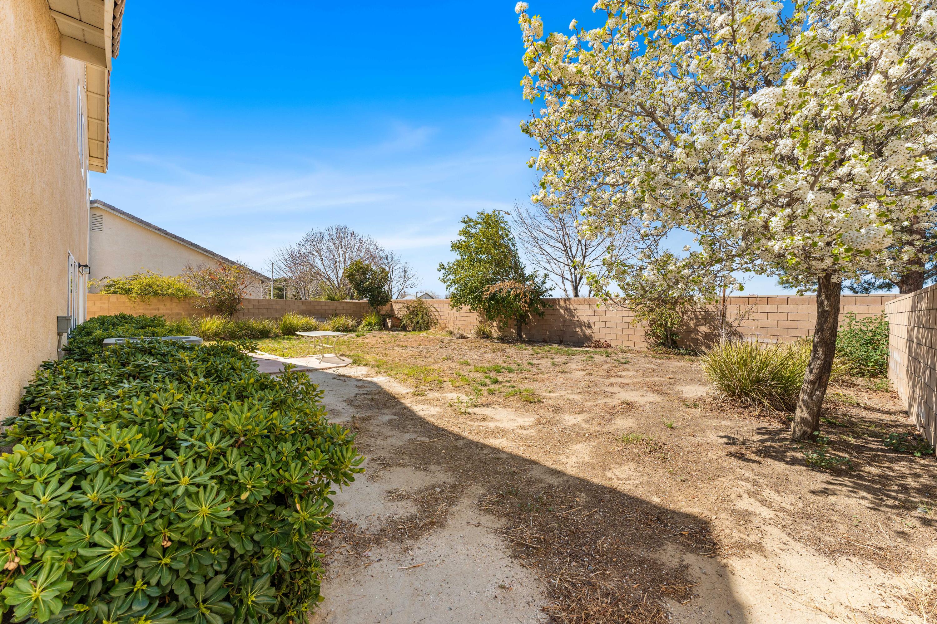 44225 Rucker Street Lancaster, CA 93535 - Photo 15 of 16 a view of a yard with trees