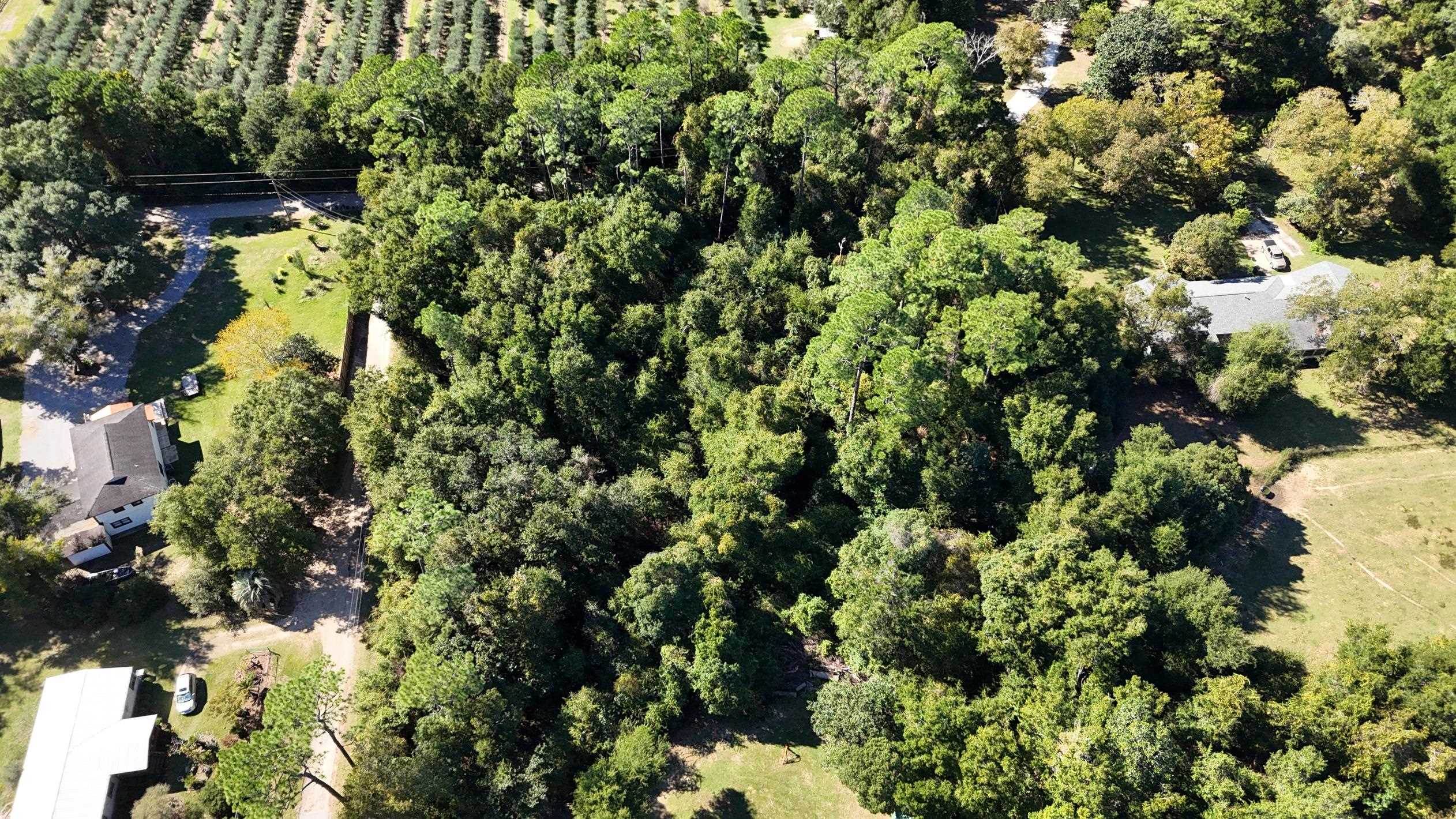 0 Perdido Street Lillian, AL 36549 - Photo 14 of 18 Aerial View