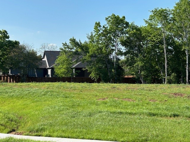 33206 Worthing Lane Fulshear, TX 77441 - Photo 4 of 6 a backyard of a house with lots of green space