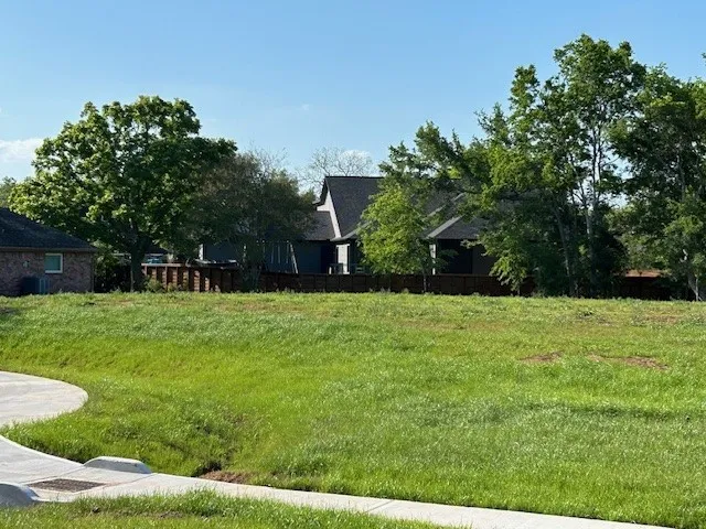 a view of a yard with a house