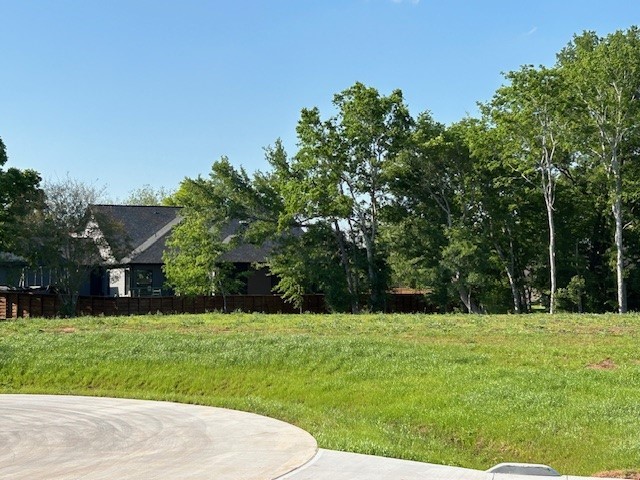 33206 Worthing Lane Fulshear, TX 77441 - Photo 6 of 6 a view of green field with trees