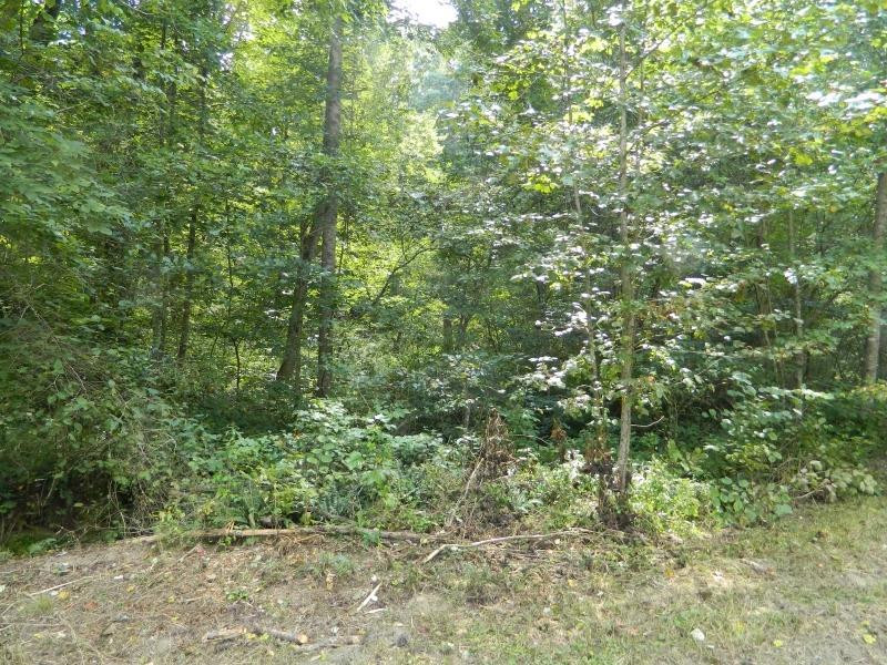 1300 Hyden Road Booneville, KY 41314 - Photo 4 of 27 Photo 4