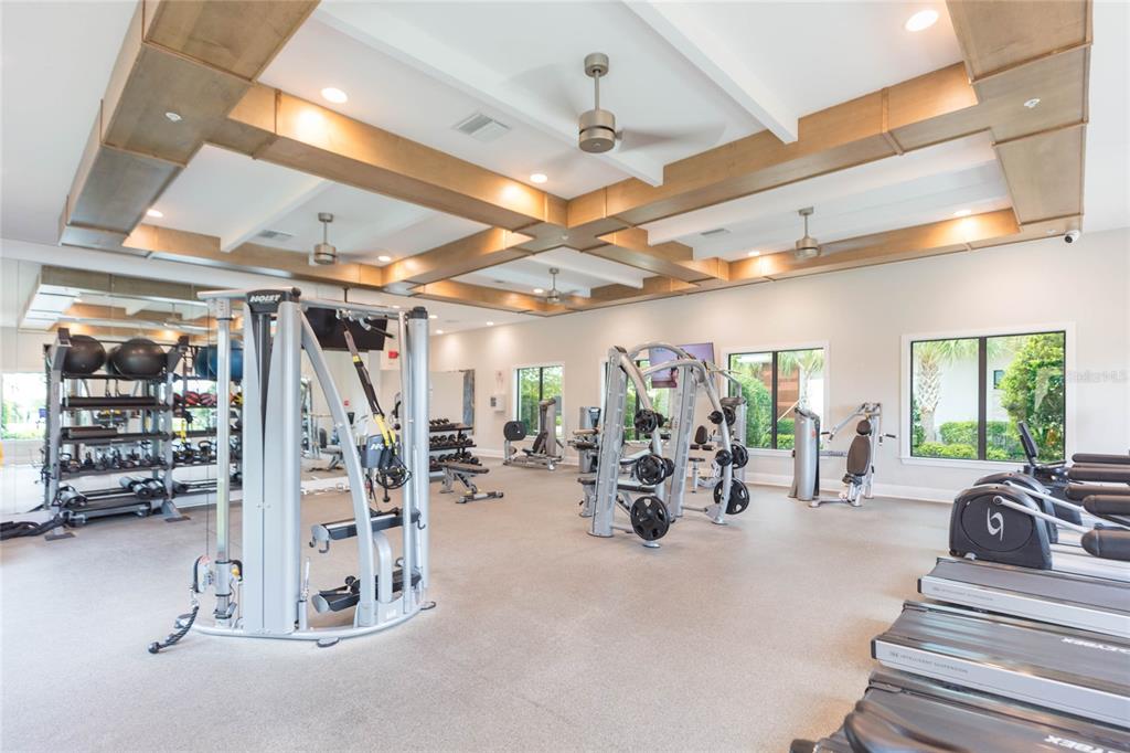 10806 Gable Dig Loop San Antonio, FL 33576 - Photo 43 of 73 a view of a room with gym equipment