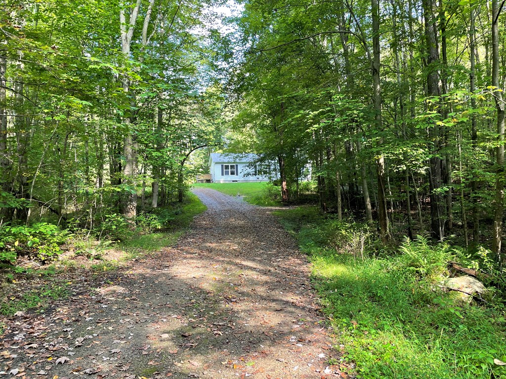 326 Stevens Road Utica, PA 16362 - Photo 2 of 11 a view of a yard with plants and large trees