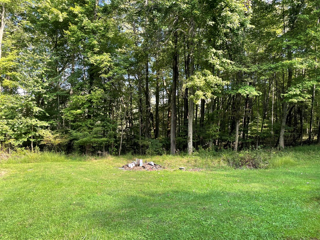 326 Stevens Road Utica, PA 16362 - Photo 5 of 11 a backyard of a house with lots of green space