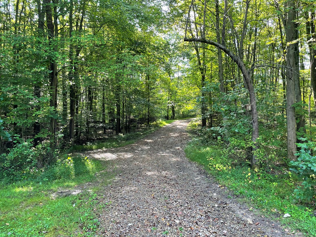 326 Stevens Road Utica, PA 16362 - Photo 7 of 11 a big yard with lots of green space and deers