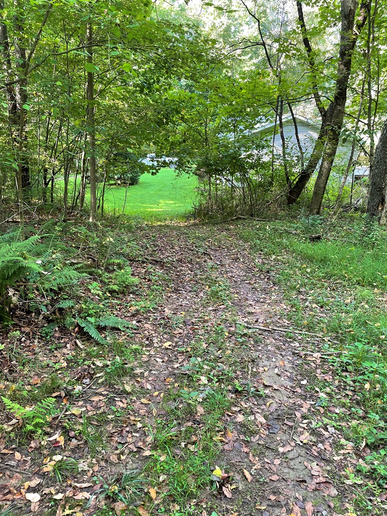 326 Stevens Road Utica, PA 16362 - Photo 10 of 11 a view of a lush green forest