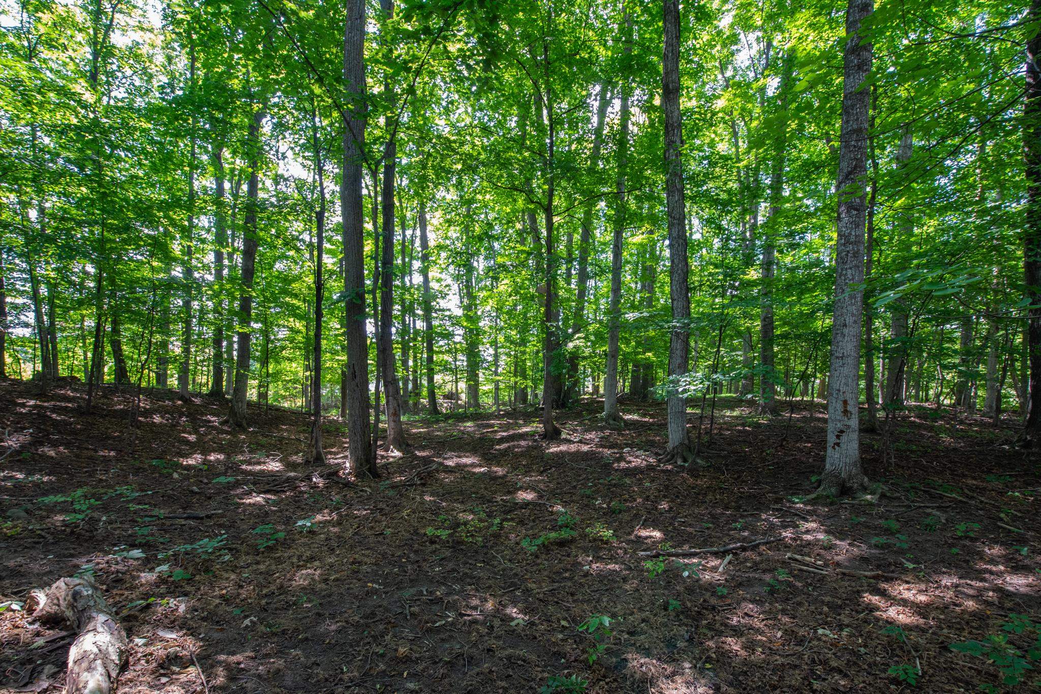 3300 Zimmerman Road Traverse City, MI 49685 - Photo 23 of 36