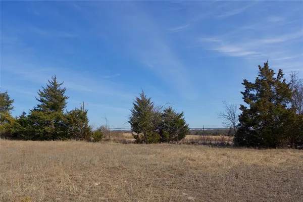 a view of a field and trees in the background