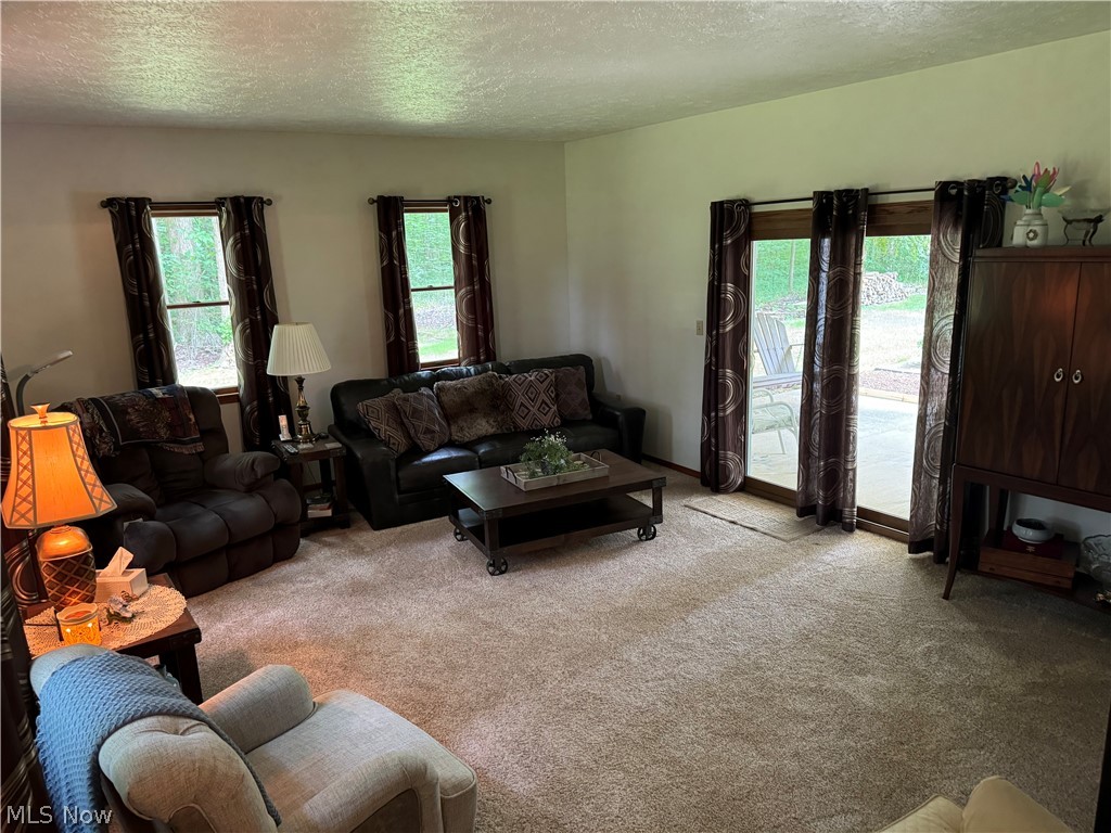 942 Webster Road Jefferson, OH 44047 - Photo 9 of 50 Carpeted living room with a textured ceiling and a healthy amount of sunlight