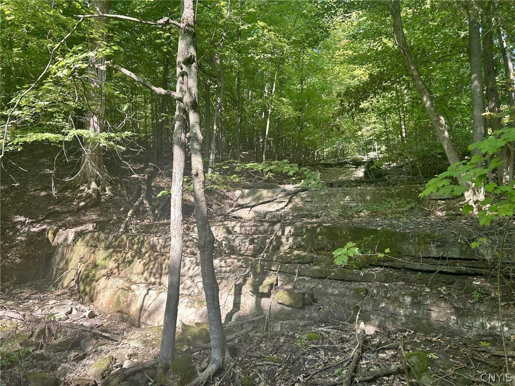 22 Lost Village Road Oswegatchie, NY 13669 - Photo 11 of 17