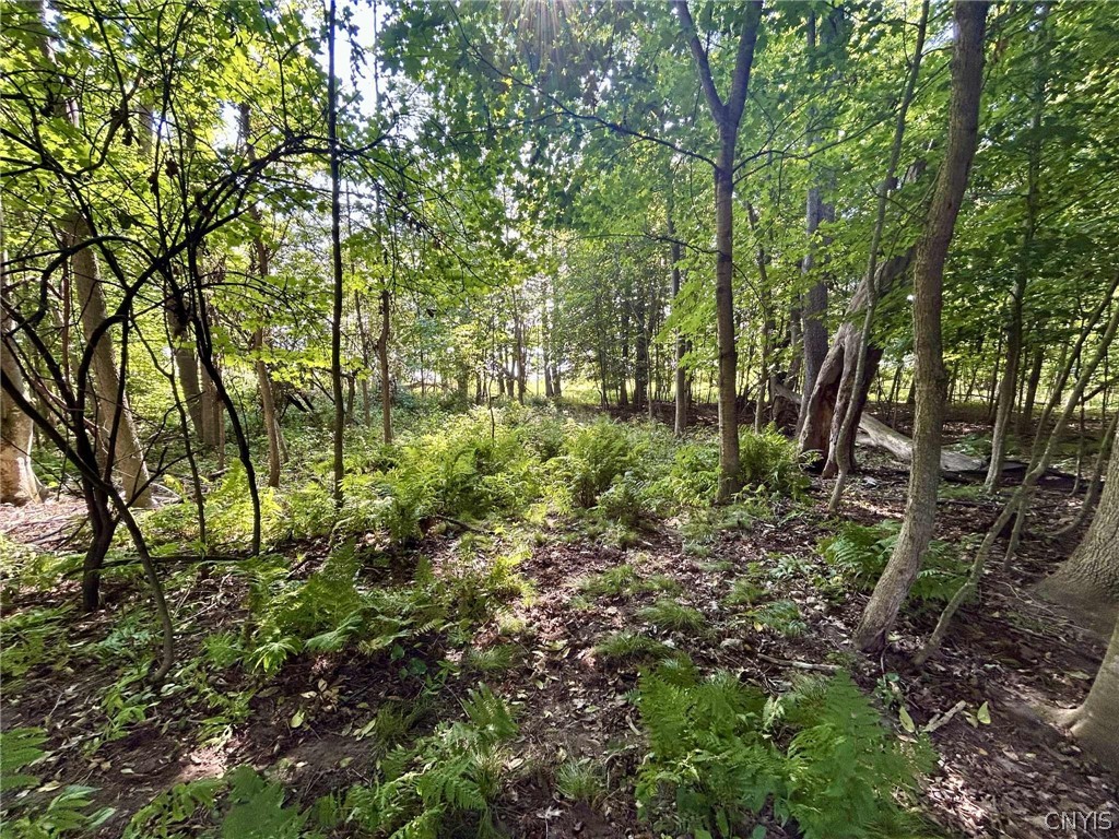 22 Lost Village Road Oswegatchie, NY 13669 - Photo 14 of 17