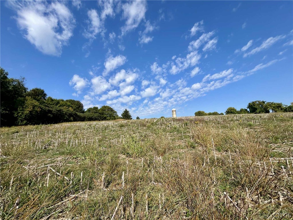 22 Lost Village Road Oswegatchie, NY 13669 - Photo 8 of 17