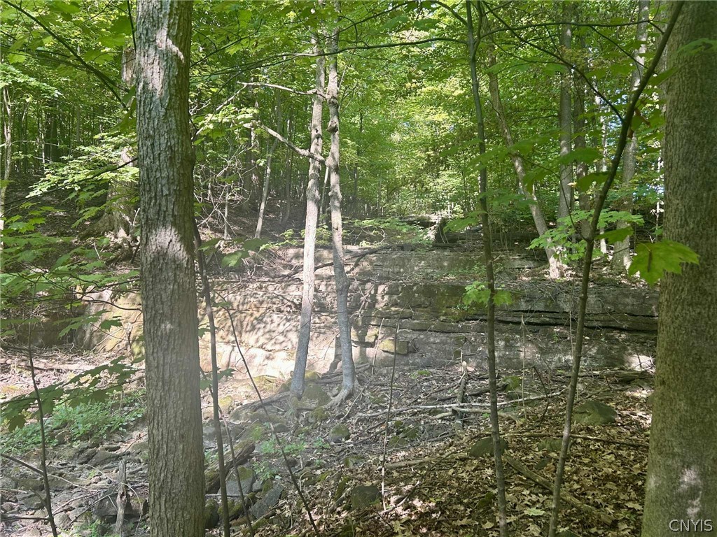 22 Lost Village Road Oswegatchie, NY 13669 - Photo 10 of 17