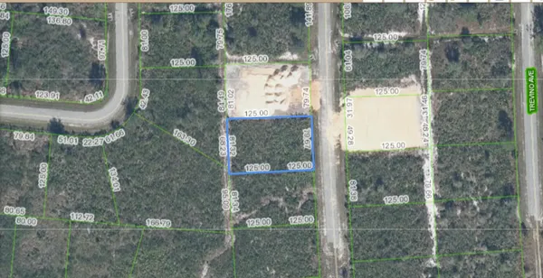 $30,000 | 4925 Fettuccine Avenue, Sebring, FL 33872