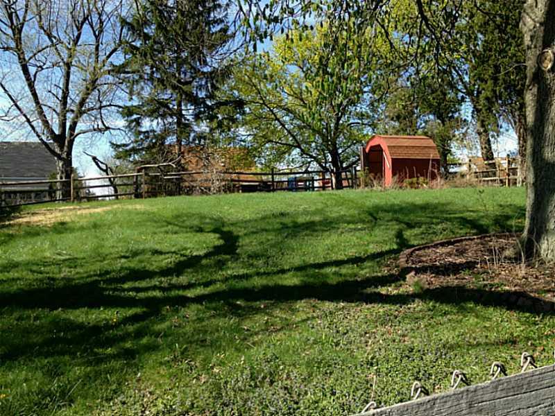1434 Greentree Road Pittsburgh, PA 15220 - Photo 14 of 16 Yard/Garden. Large fenced back yard