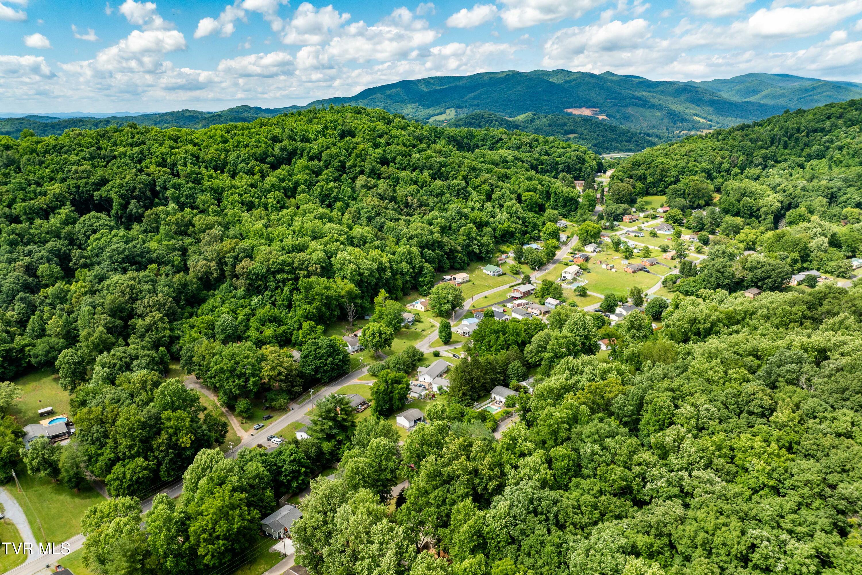 1113 Berry Road Elizabethton, TN 37643 - Photo 48 of 88 1113 Berry Rd (9 of 89)