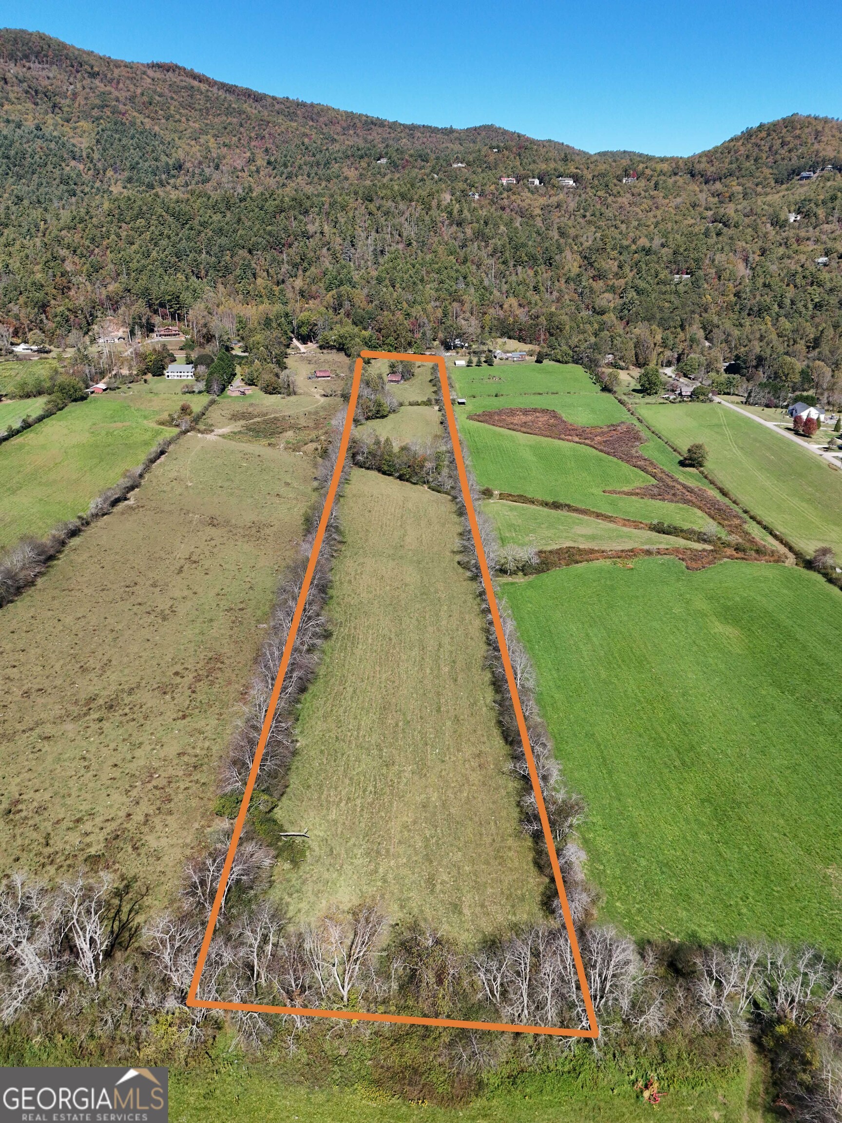 0 Wolffork Road Rabun Gap, GA 30568 - Photo 15 of 15 a view of a yard