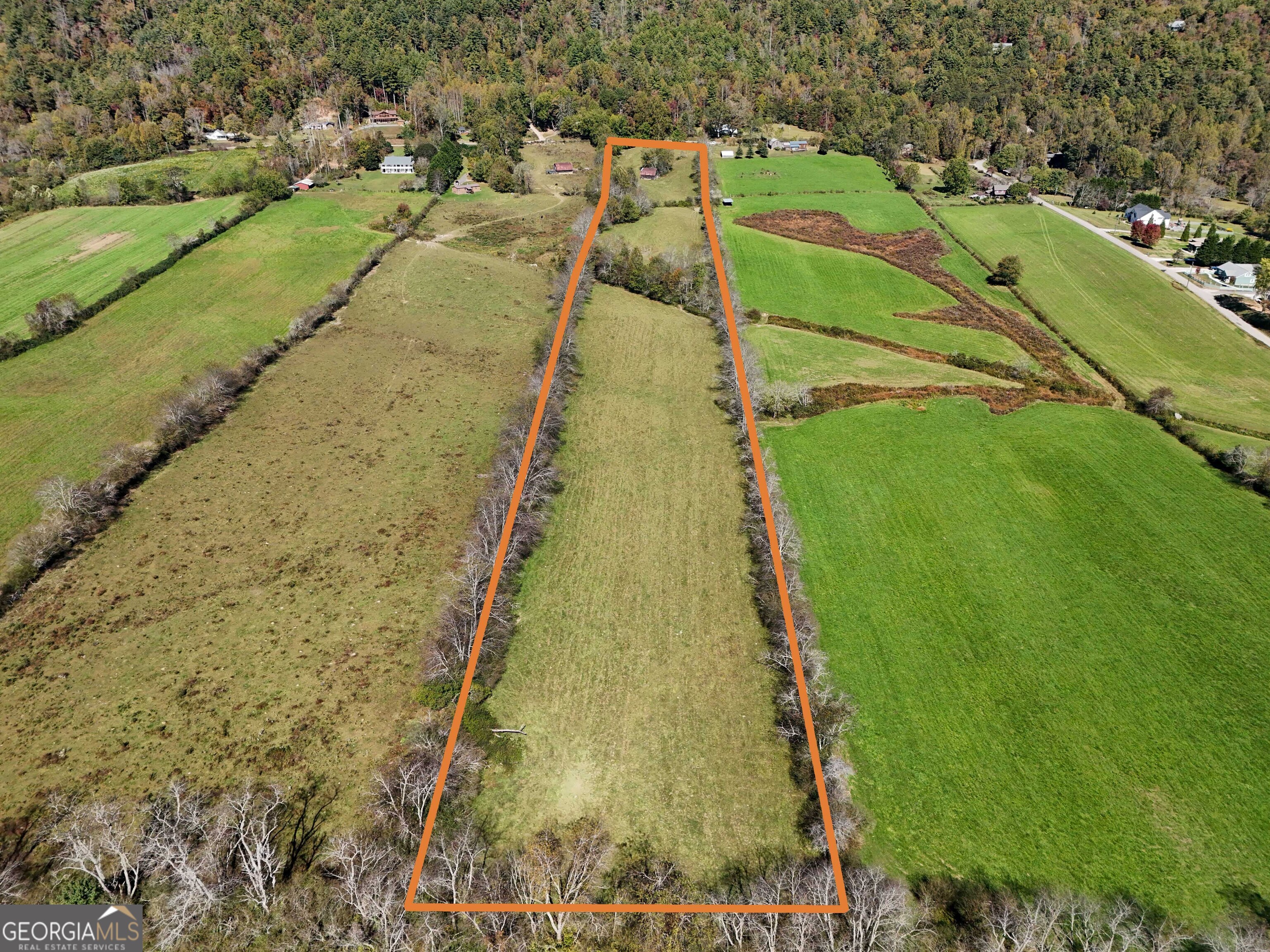 0 Wolffork Road Rabun Gap, GA 30568 - Photo 3 of 15 a view of a yard