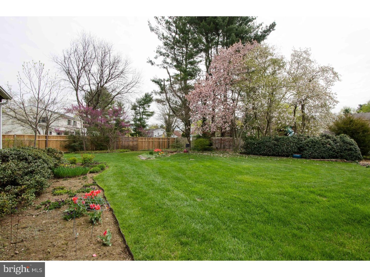 341 Margery Road Yardley, PA 19067 - Photo 21 of 22 Back Yard