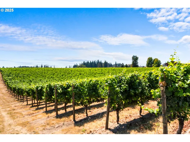 a view of swimming pool with an outdoor space and seating area