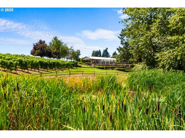 a view of outdoor space and yard