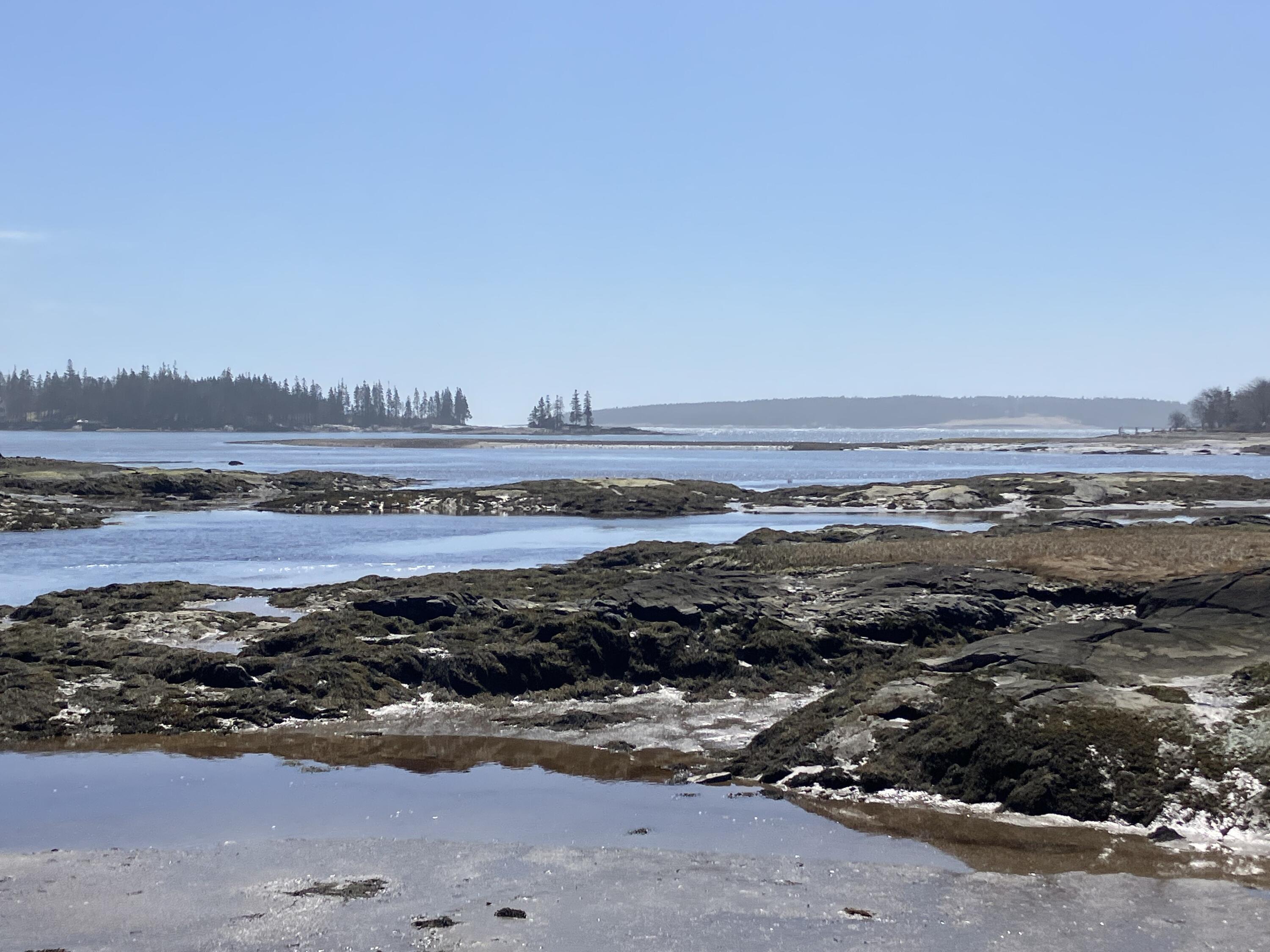 212 Ridge Road Tenants Harbor, ME 04860 - Photo 53 of 53 Local Coastal Beauty