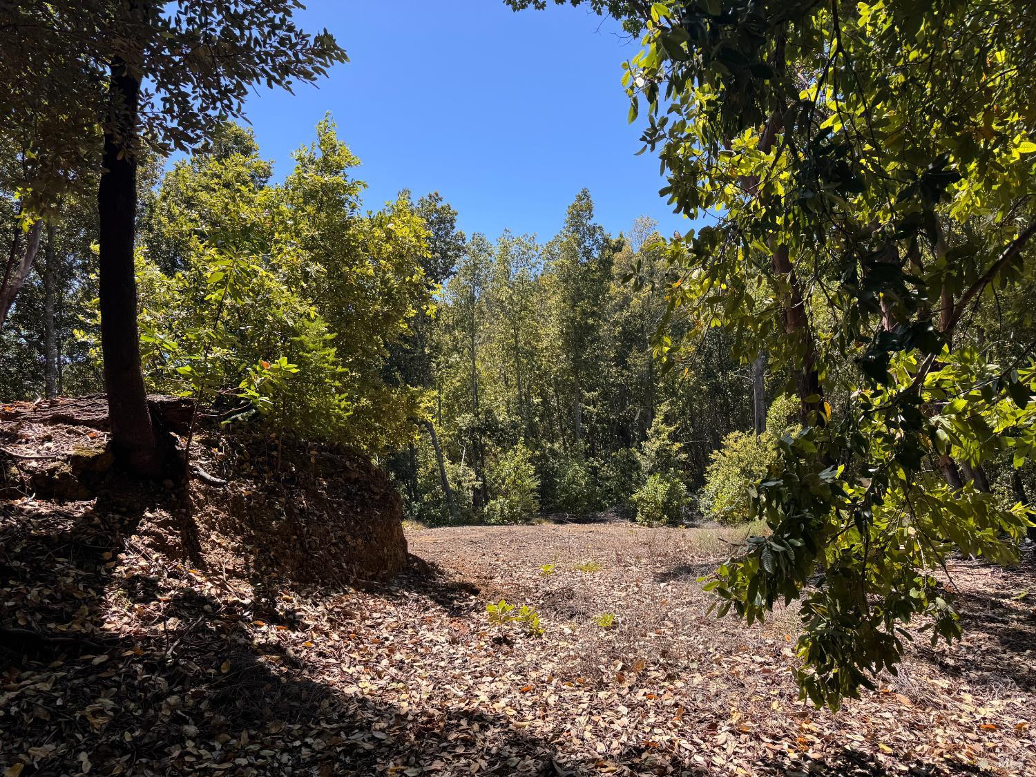 21530 Fort Ross Road Cazadero, CA 95421 - Photo 36 of 56
