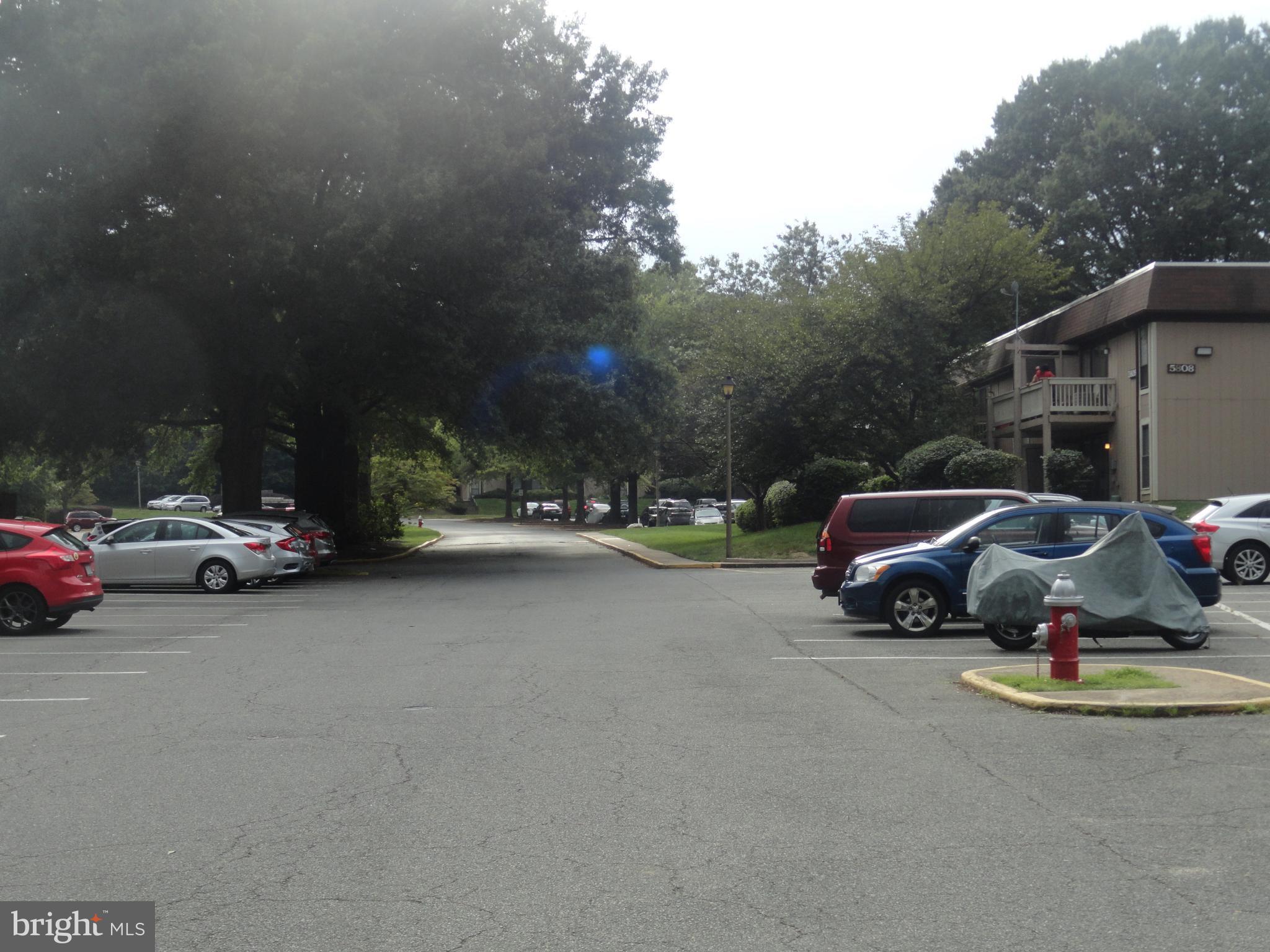 5804 Royal Ridge Drive, Unit P Springfield, VA 22152 - Photo 21 of 30 Community