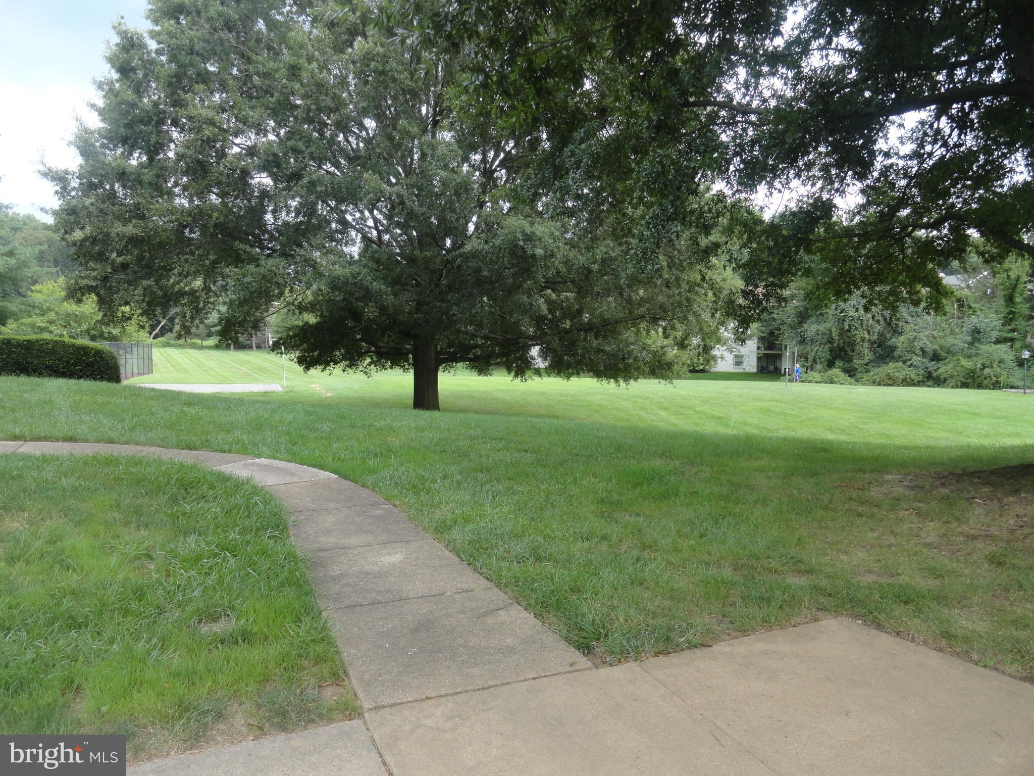 5804 Royal Ridge Drive, Unit P Springfield, VA 22152 - Photo 24 of 30 Community