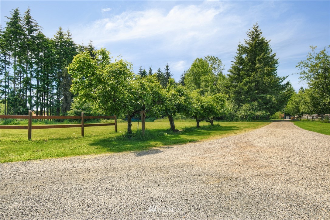 8536 Rich Road Southeast Olympia, WA 98501 - Photo 2 of 25 Gallery Image 2