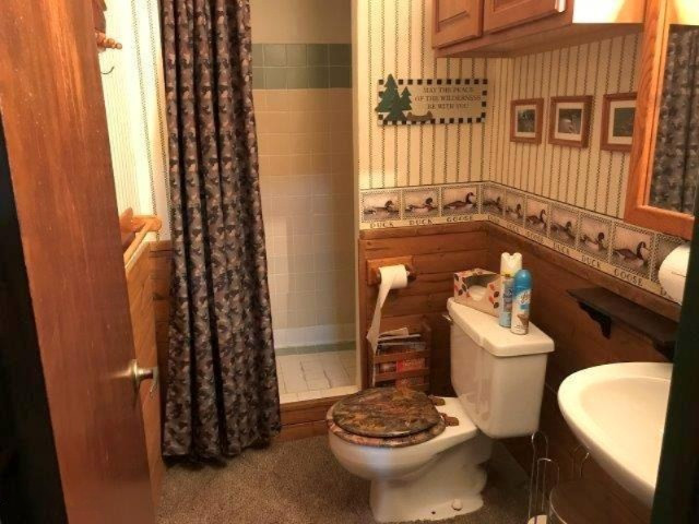9237 South Forman Road Baldwin, MI 49304 - Photo 17 of 28 LASTBIDrealestate.com FORMAN218. 33