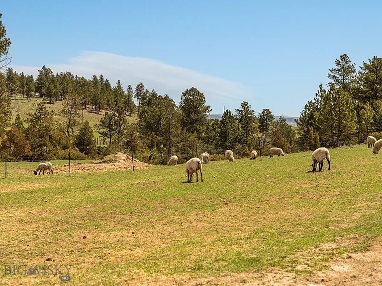 659 Deadmans Canyon Road Reed Point, MT 59069 - Photo 88 of 96 Gallery Image 88