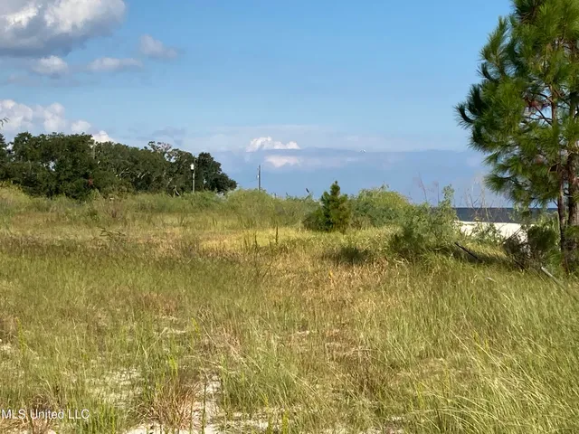 $3,950,000 | 101 4th Avenue, Pass Christian, MS 39571