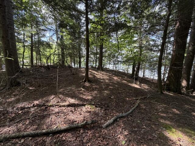 10 Black Point Road Beaver Cove, ME 04441 - Photo 11 of 16 IMG_0824