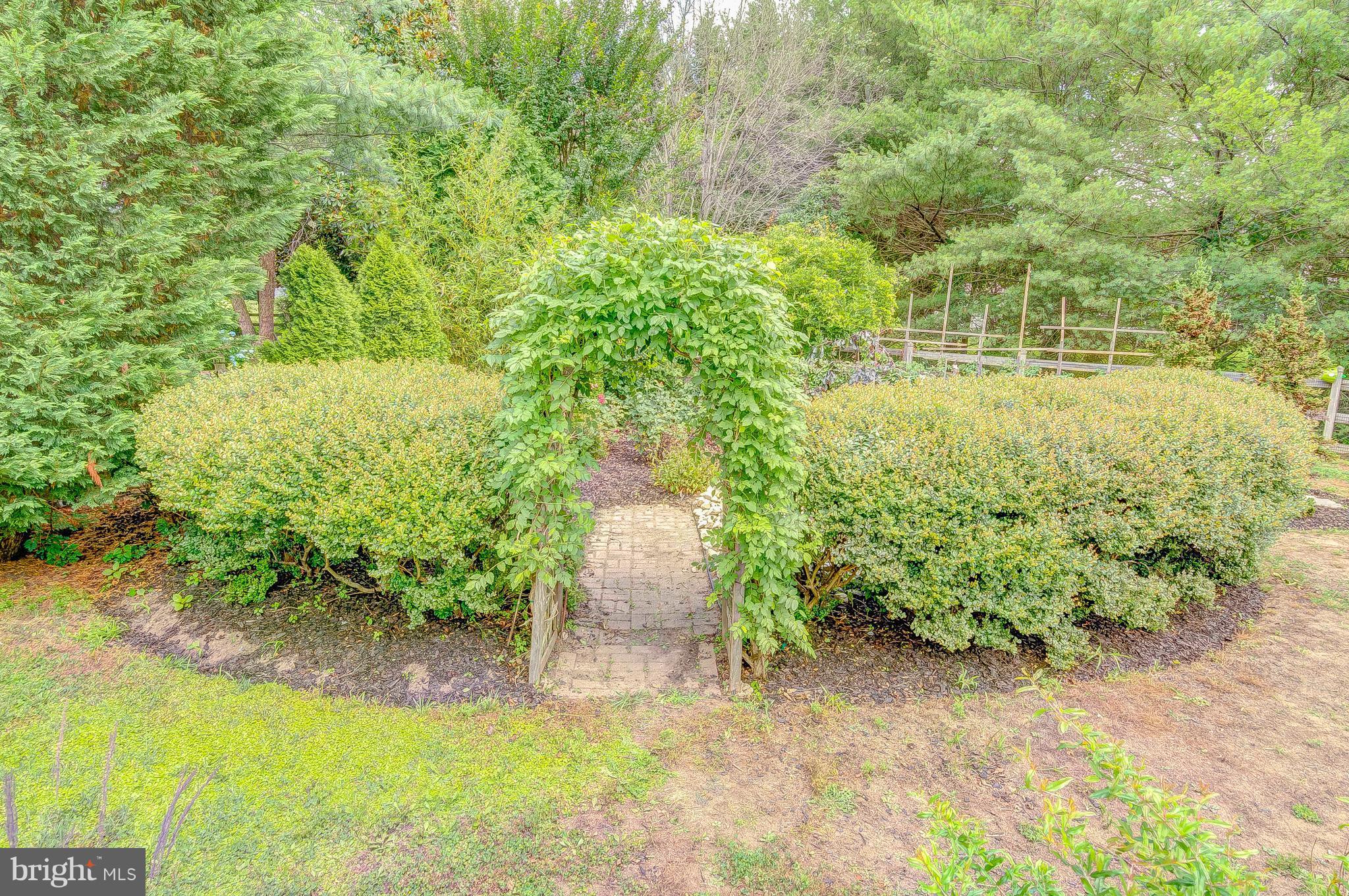3222 Breckenridge Way Riva, MD 21140 - Photo 17 of 29 a view of a garden with large trees