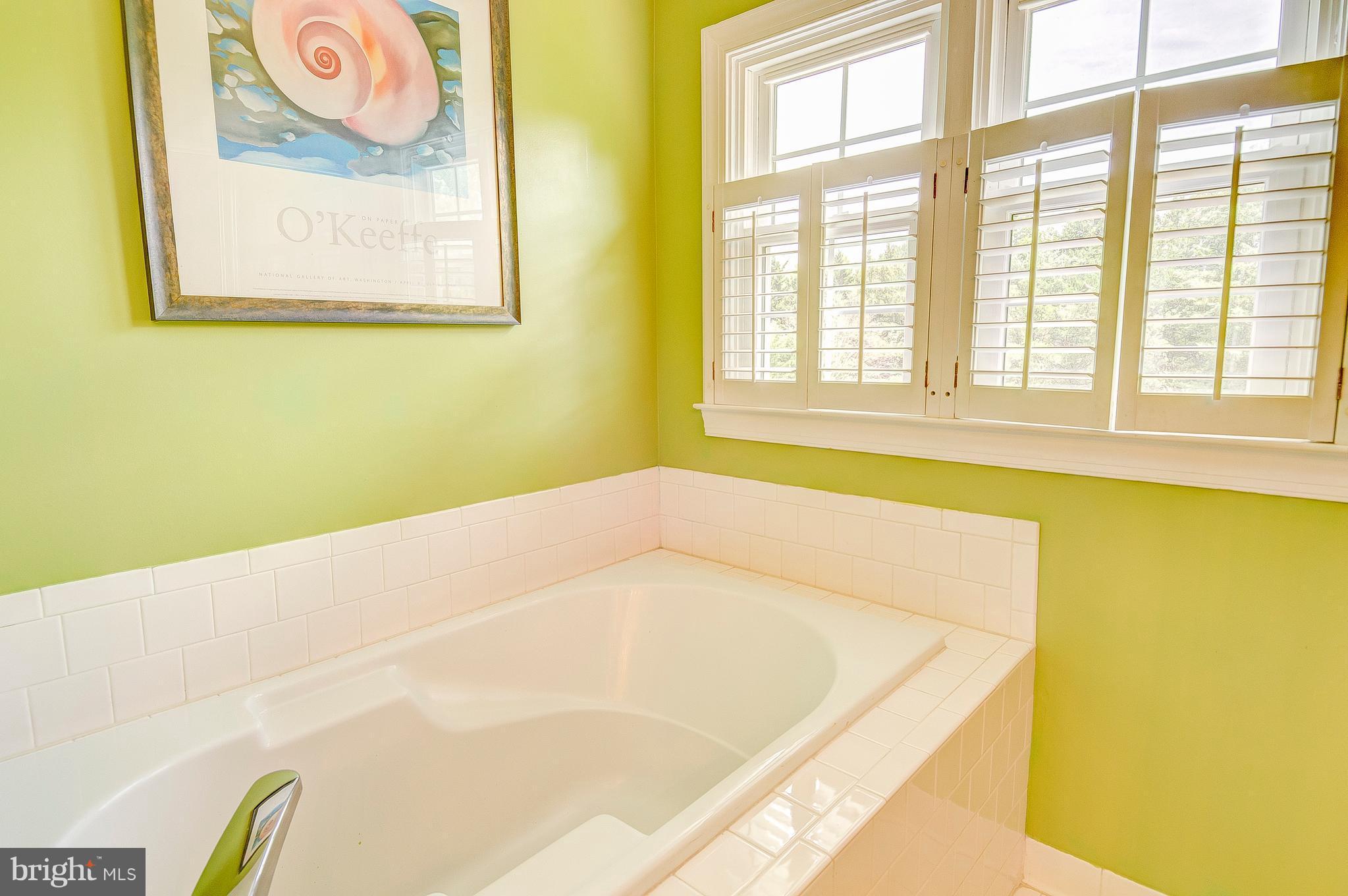 3222 Breckenridge Way Riva, MD 21140 - Photo 7 of 29 a bath tub sitting in a bathroom next to a window