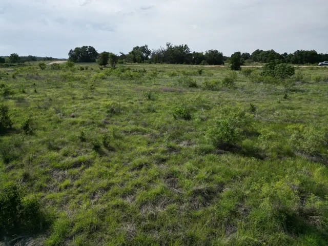 a view of a lush green forest with a houses