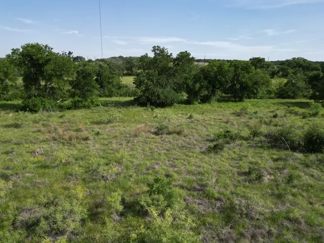 a view of a lush green forest