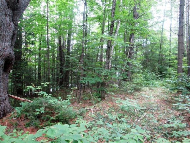 0 Klirbeck Road Vienna, ME 04360 - Photo 3 of 3 onionpath
