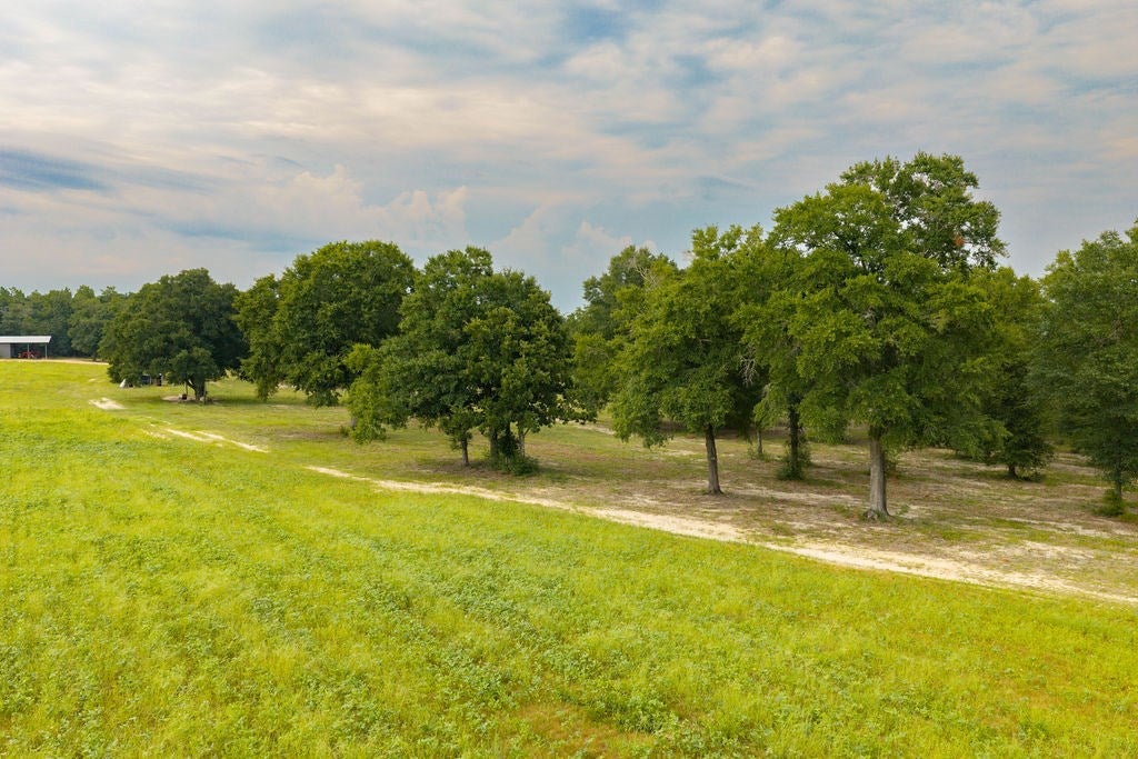 1138 Power Dam Road Newton, AL 36352 - Photo 96 of 111 Gallery Image 96